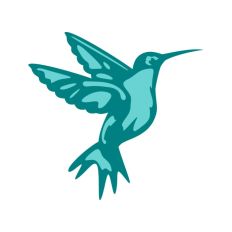 Hummingbird