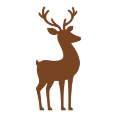 Reindeer Christmas Sleigh Santa Festive