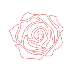 Rose Head Line Drawing