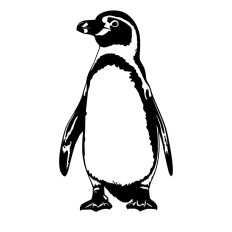 Penguin Animal Winter Bird Christmas