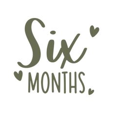Six Months Baby Milestones First Year Newborn