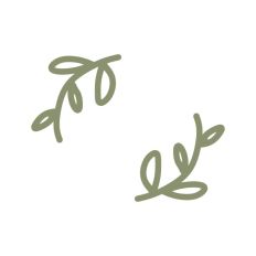 Botanical Vine Leaf Stem Floral Pattern