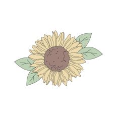 Detailed Sunflower