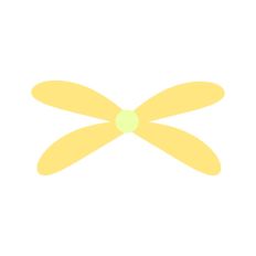 4 petal flower