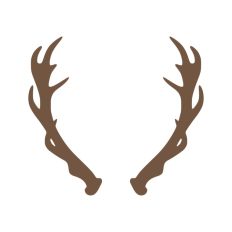 Deer Buck Stag Antlers Christmas Reindeer Hunting