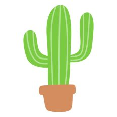 Cactus in Pot