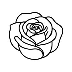 Outline of Rose Flower Head