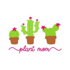 Plant Mom Cacti's 