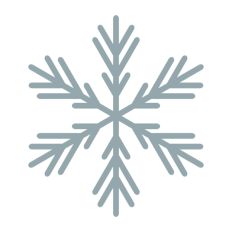 Snowflake Snow Winter Christmas