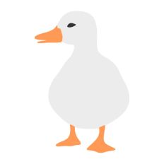 Duck Standing on Side
