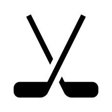 Ice Hockey Sticks