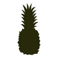 Pineapple Silhouette 
