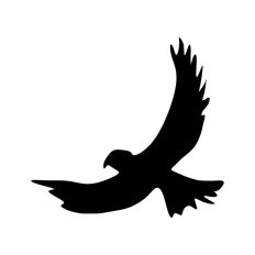 Eagle Flying