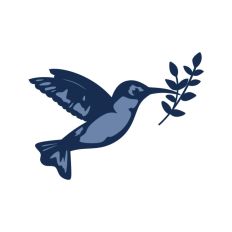 Hummingbird and Branch