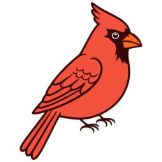 Christmas Cardinal Bird Festive Winter