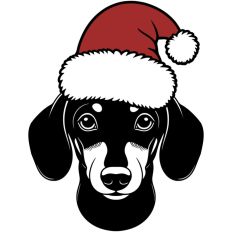 Dachshund Weiner Dog Christmas Santa Hat
