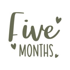 Five Months Baby Milestones First Year Newborn
