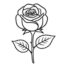 Pretty Rose Flower Stem Thorns Leaves