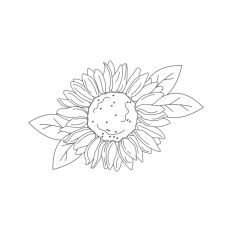 Sunflower Line Drawing With Leaves