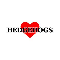 Love Hedgehogs