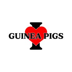 I Love Guinea Pigs
