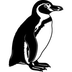 Penguin Animal Winter Bird Christmas