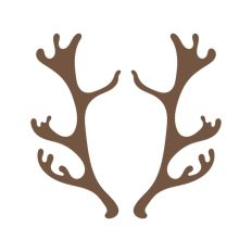 Deer Buck Stag Antlers Christmas Reindeer Hunting