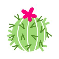 Spikey Ball Cactus