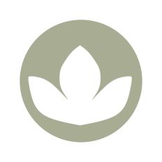 Lotus Flower Circle