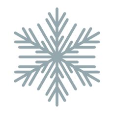 Snowflake Snow Winter Christmas