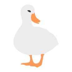 Duck Standing on Side