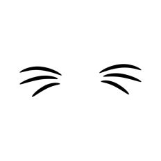 Cat Face Whiskers 