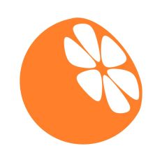 Half Orange Citrus Fruit