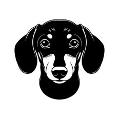 Dachshund Dog Weiner Puppy Face Head 
