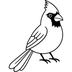 Christmas Cardinal Bird Festive Winter