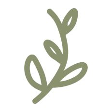 Botanical Vine Leaf Stem Floral Pattern