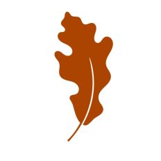 Fall Autumn Leaf Leaves Maple Oak Chestnut Tree