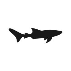 Shark Silhouette 