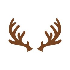 Reindeer Buck Stag Deer Antler Christmas Santa Sleigh