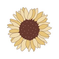 Sunflower 