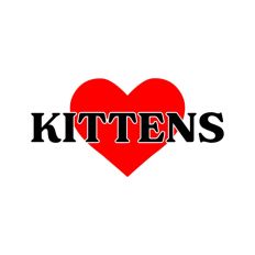 Love Kittens