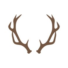 Deer Buck Stag Antlers Christmas Reindeer Hunting