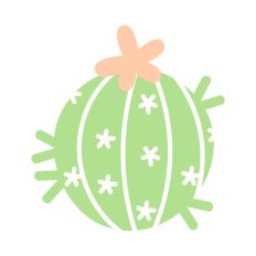 Round Cactus