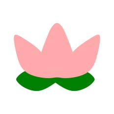 Lotus Flower