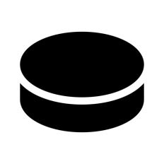 Ice Hockey Puck