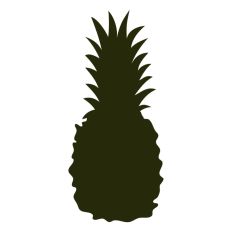 Pineapple Silhouette 