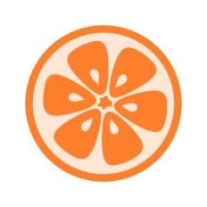 Orange Fruit Slice