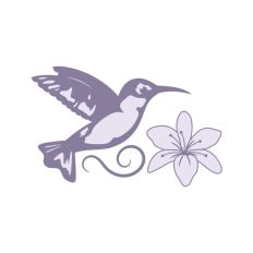 Hummingbird and Flower