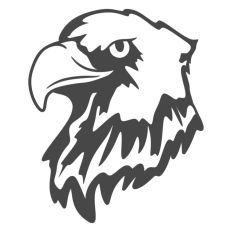 Eagle Face