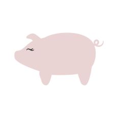 Pig Farm Animal